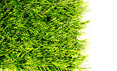 Premium Grass Football 40 Green Graient 16000                        