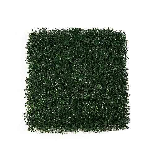BoxTree 50 х 50