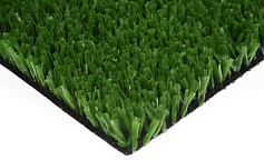 Premium Grass Sports 20