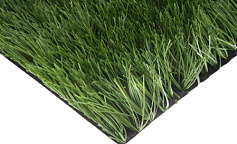 Premium Grass FIFA Champion 60                        