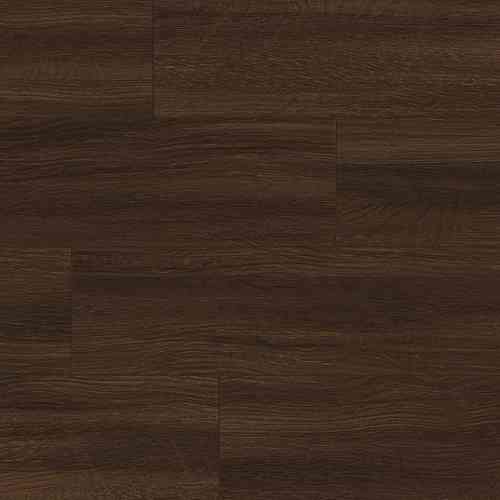 Oak russet