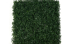 Premium Grass BoxTree 50 х 50                        