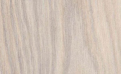 Forbo Creme Rustic Oak PRO 4021 P                        