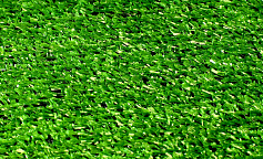 Premium Grass Eco 7 Green                        