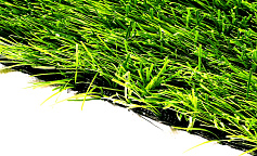 Premium Grass Football 40 Green Gradient 12000                        