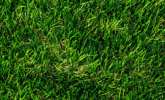 Premium Grass Comfort 40 Green Bicolour                        