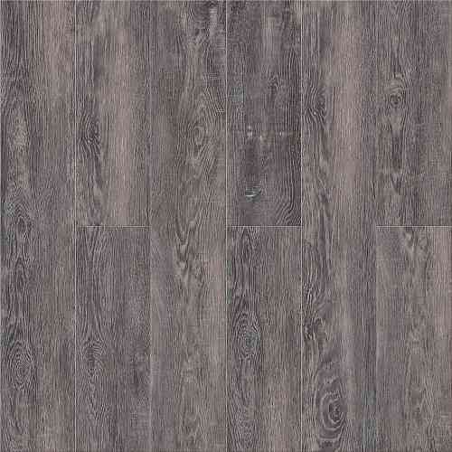 Дуб Мореный