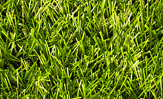 Premium Grass Football 40 Green 10000                        