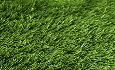 Premium Grass Football 50 Green 10000                        