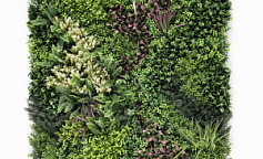 Premium Grass RainRoot 100 х 100                        
