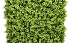 Premium Grass Heart Leaf 50 х 50                        
