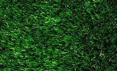 Premium Grass True 30 Green Bicolour                        