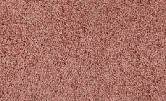 AW Masquerade Cordoba 60