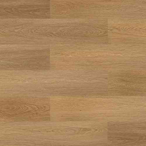 Дуб шампань