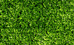 Premium Grass Nature 15 Green                        