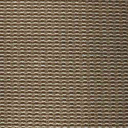 Платан 23-T BEJIVIY-10064