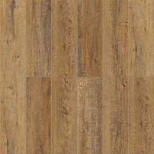 Дуб Робуста