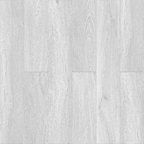 Дуб Серебристый