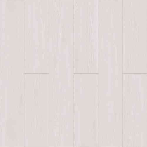 Дуб Беленый