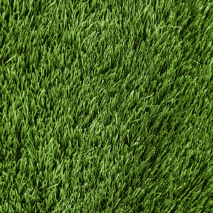 /upload/resize_cache/iblock/dd6/400_400_2/jypi91upbgxsdjd9o87y9bycmgol7cmv.png