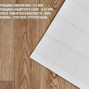 /upload/resize_cache/iblock/e0e/400_400_2/30im1x0bfz6ywx5oto16ud6lrlakkgcg.jpg