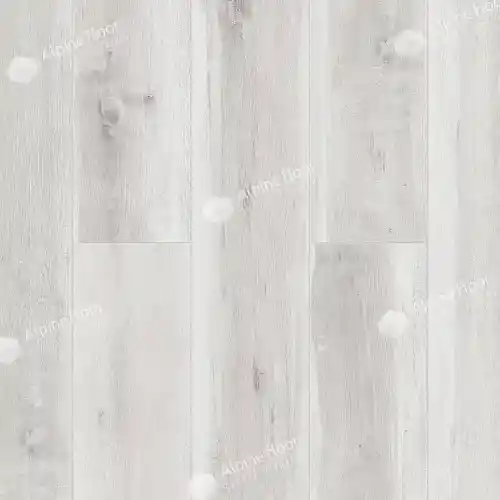 ECO3-19