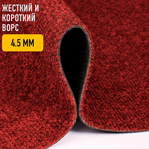 /upload/resize_cache/iblock/e62/400_400_2/m4owpvcn9mfnpin1n939m18dqecukrhe.jpg