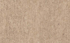 Tarkett Beige 01