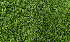 Premium Grass Football 50 Green 12000
