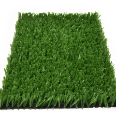 Premium Grass Sports Plus 20_5709738