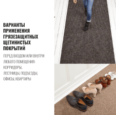 Tarkett Рекорд № 811_6350960