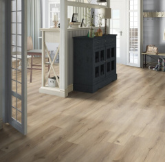 Tarkett Chester_5893137