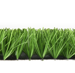 Premium Grass Football Pro 50_6177445