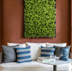 Premium Grass Heart Leaf 50 х 50_6251846