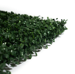 Premium Grass BoxTree 50 х 50_6251844