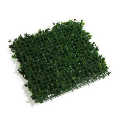 Premium Grass Tropic 50 х 50_6251847