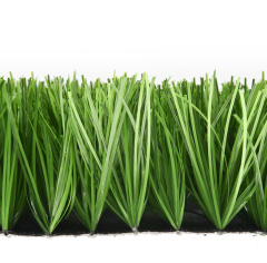 Premium Grass Football Pro 60_5774882