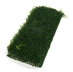 Premium Grass TropiFern 100 х 100_6251849