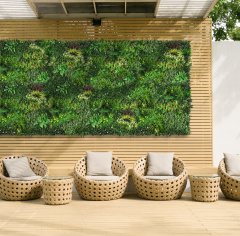Premium Grass VerdiWall 100 х 100_6251850