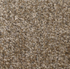 Enia Dragon 10431_4832636