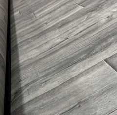 IVC Edgewood W97_4838777