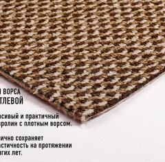 Betap Komet 67_6177866