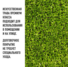 Premium Grass Sports 20_6344910