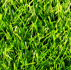 Premium Grass Football 40 Green 8800_6104737