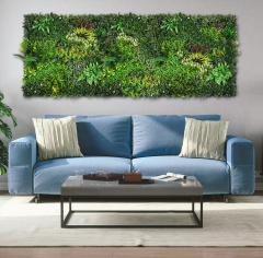 Premium Grass VerdiWall 100 х 100_6251850