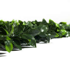 Premium Grass Gardenia 50 х 50_6251845
