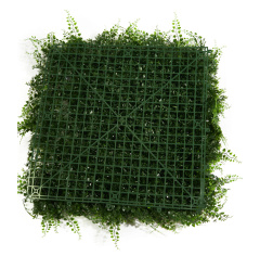 Premium Grass Fern Bracken 50 х 50_6251848