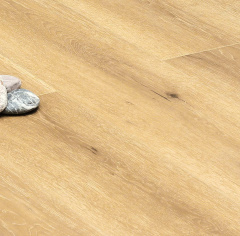 Stone Floor Дуб Полуденный_5757153