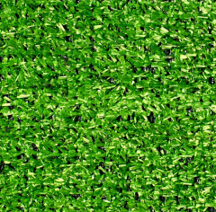 Premium Grass Eco 10 Green_5197624