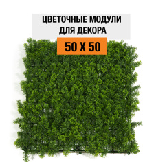 Premium Grass Heart Leaf 50 х 50_6251846